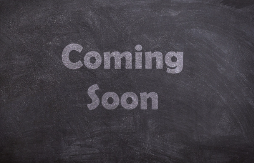 “The Greg” | Wallet + Notebook / passport